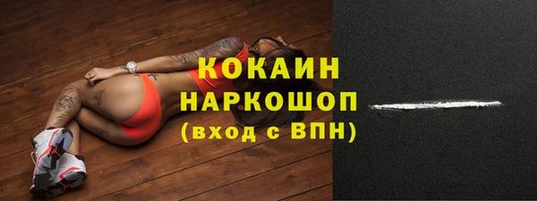 дживик Надым