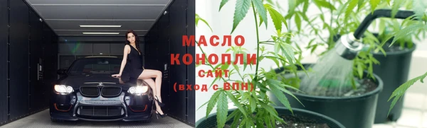 дживик Надым