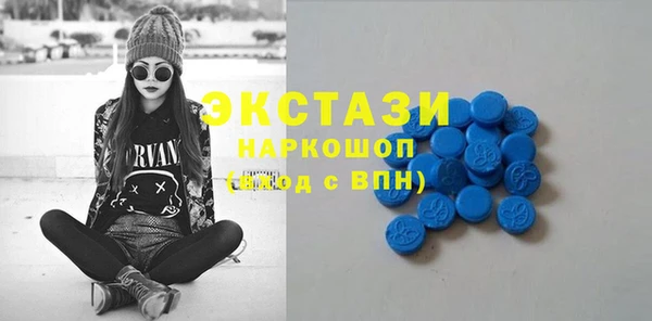 дживик Надым