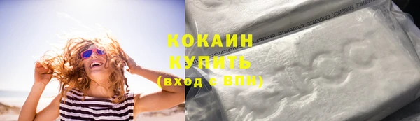 дживик Надым