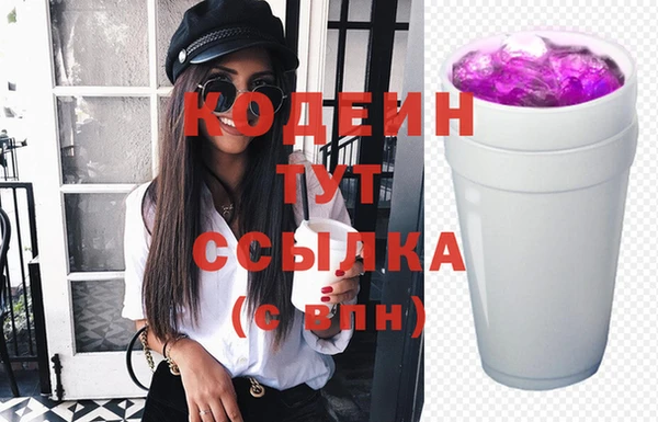 дживик Надым