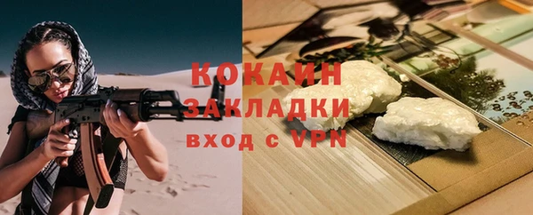 дживик Надым